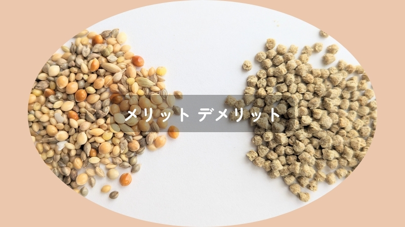 メリットデメリット