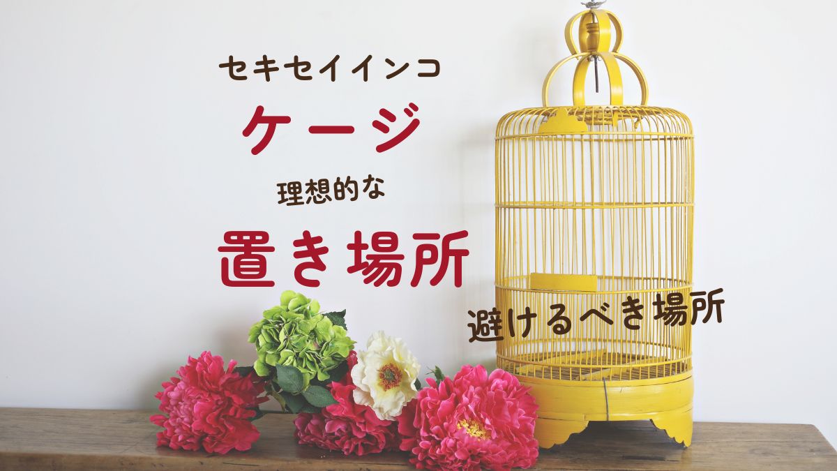 セキセイインコ　ケージ理想的な置き場所　避けるべき場所