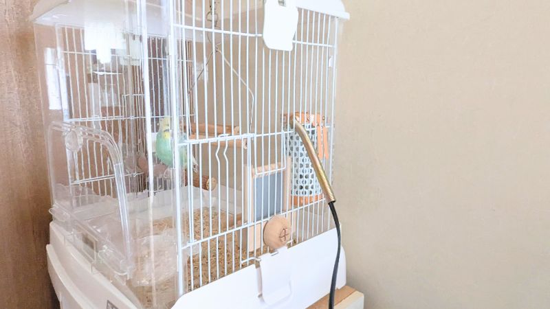 ケージの横網2段目に取り付けたマルカン保温電球カバー付き20w