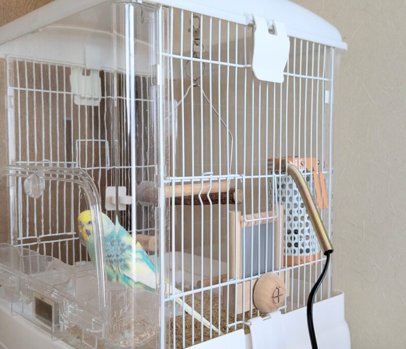 マルカン保温電球カバー付き20w を取り付けたケージ