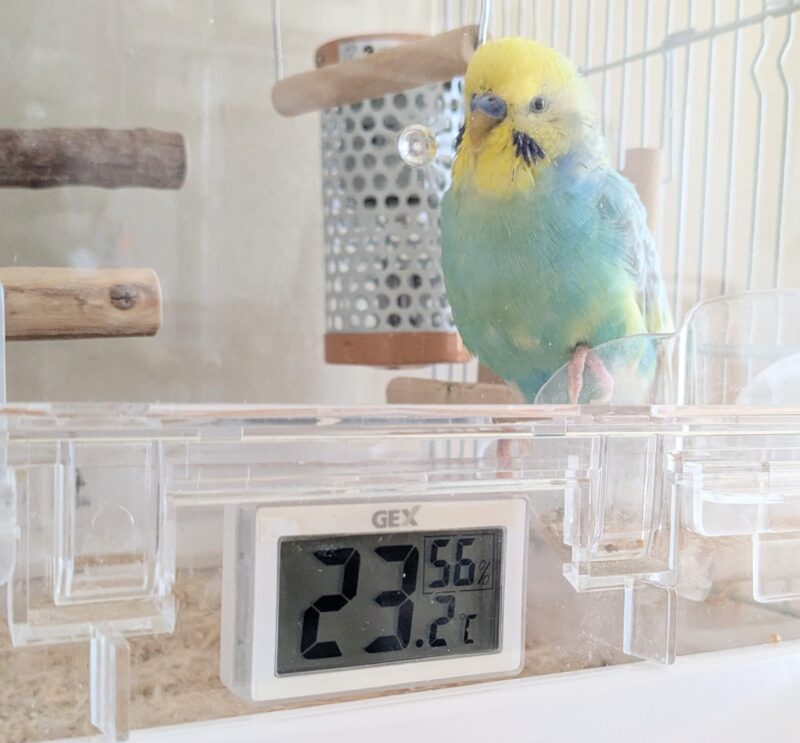 ケージ内温度23.2℃