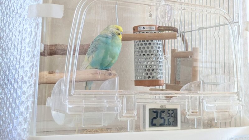 ケージ内温度25.6℃