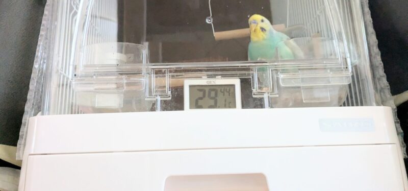 ケージ内温度29.1℃