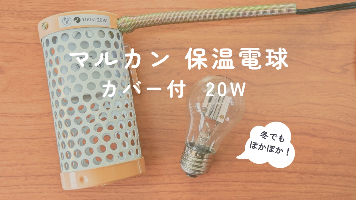 マルカン 保温電球 カバー付 20W