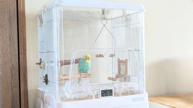 ポフくんを飼育している実際のケージ
