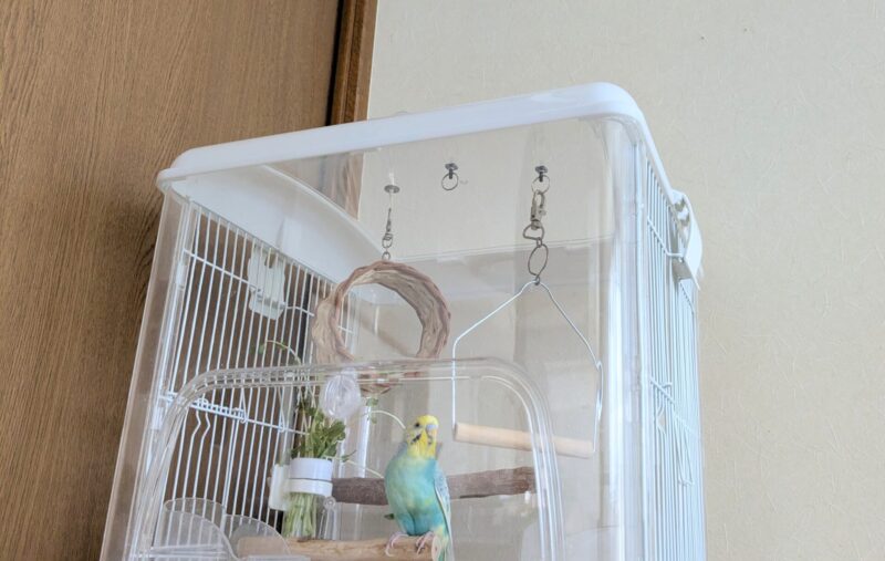 おもちゃを吊り下げた天井扉