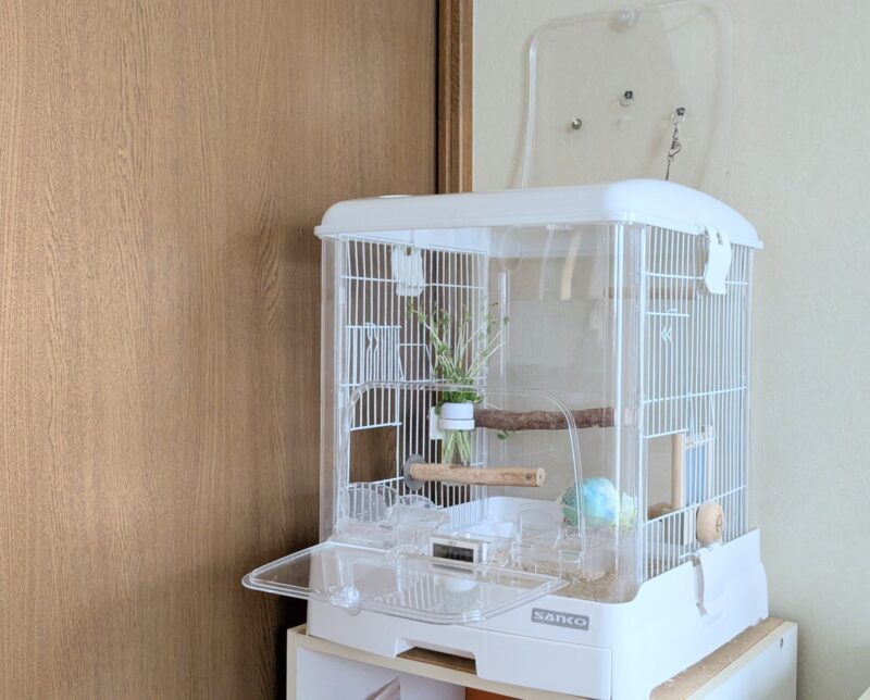 4つの扉を開いたケージ