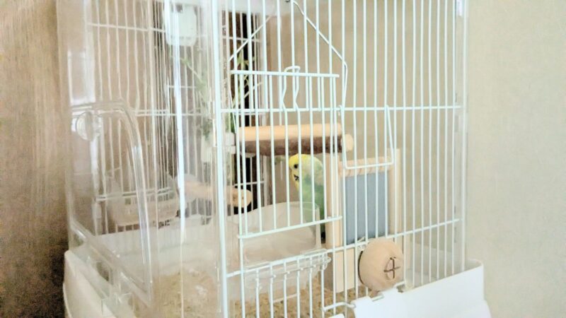 側面扉が下がって止まる位置