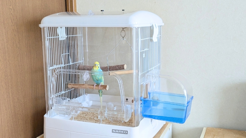バードバスを取り付けたケージ