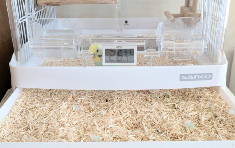 「バードマット」に絡まっているセキセイインコの抜けた羽