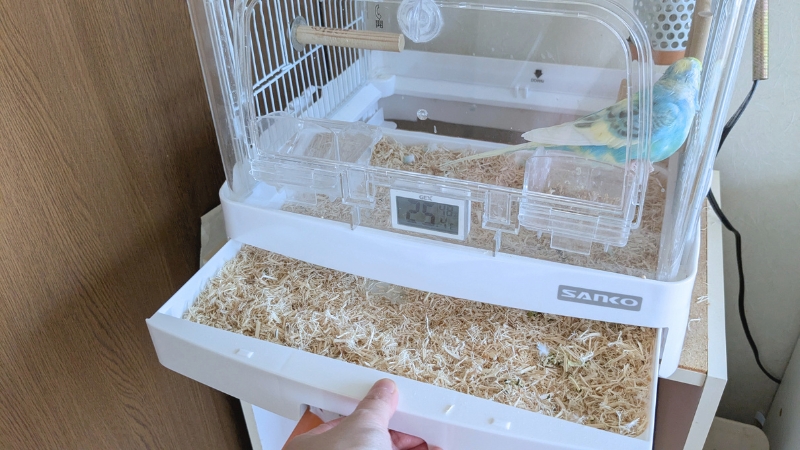 セキセイインコのケージの床材の交換作業