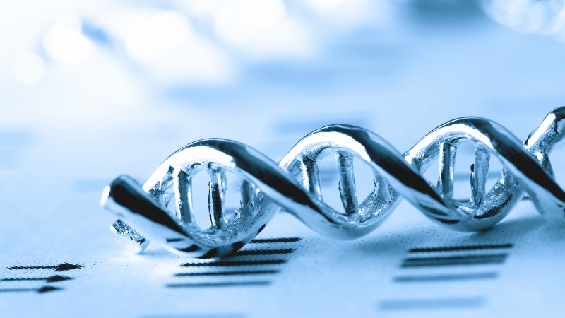 DNAの二重螺旋構造