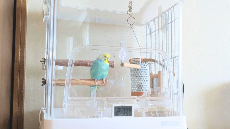 ヒーターを取り付けたセキセイインコのケージ