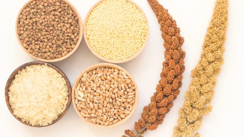 さらに盛ってあるセキセイインコのおやつとあわ穂