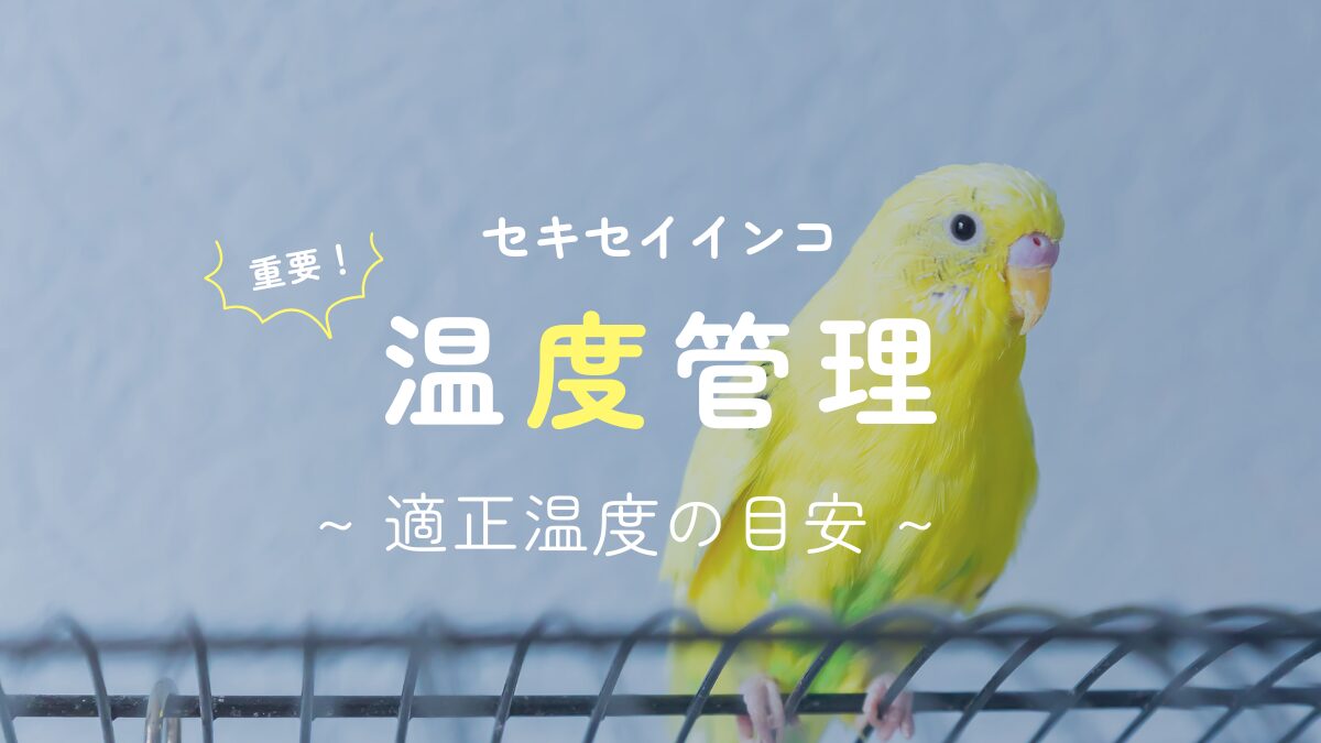 【重要！】セキセイインコ　温度管理　適正温度の目安
