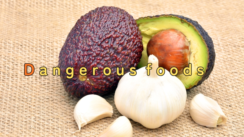 Dangerous foods