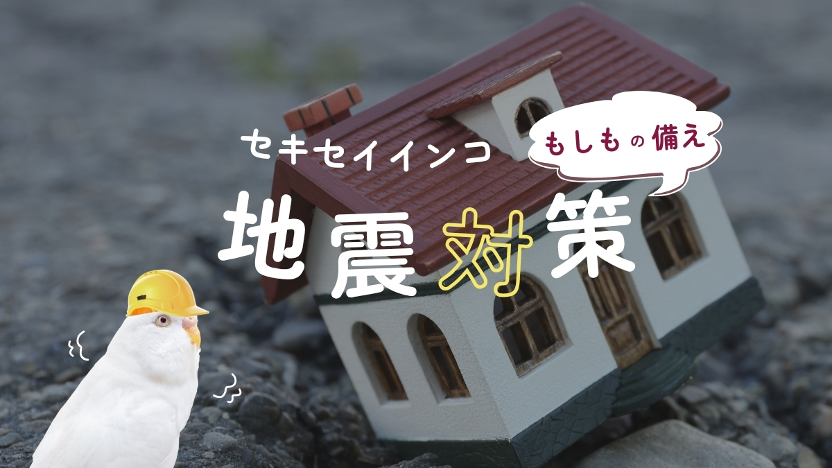 セキセイインコ　地震対策　もしもの備え