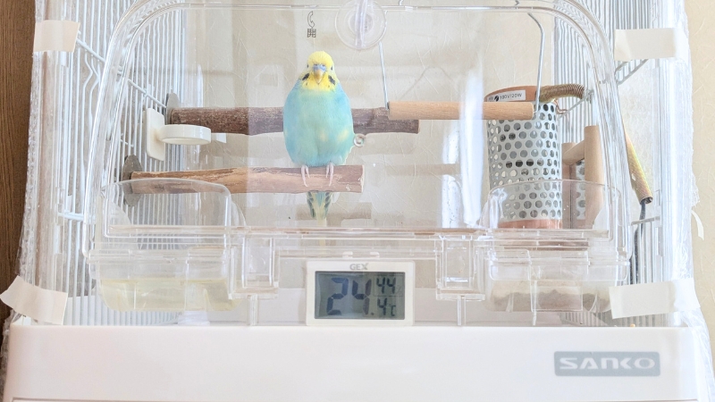 ケージの前面下部に設置したデジタル温度計