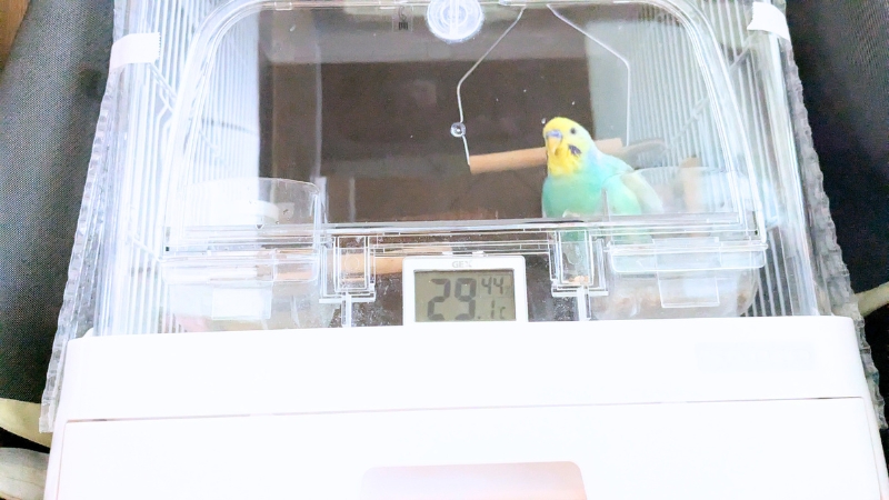 ケージカバーで覆ったときのケージ内温度