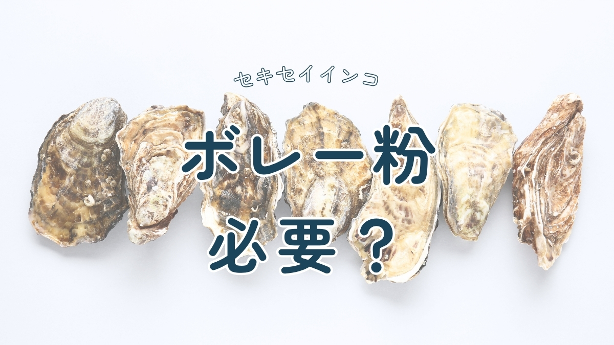 セキセイインコ　ボレー粉　必要？