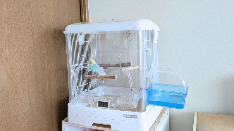 暑さ対策でバードバスを設置したケージ