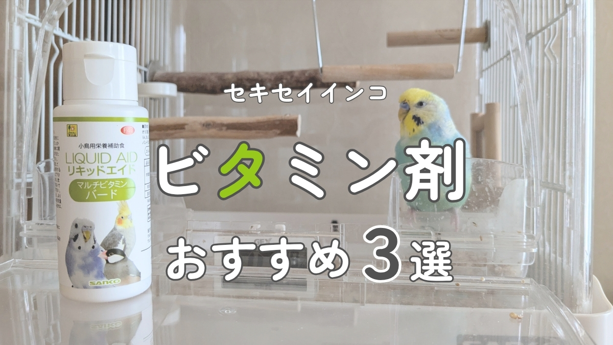 セキセイインコ　ビタミン剤　おすすめ3選