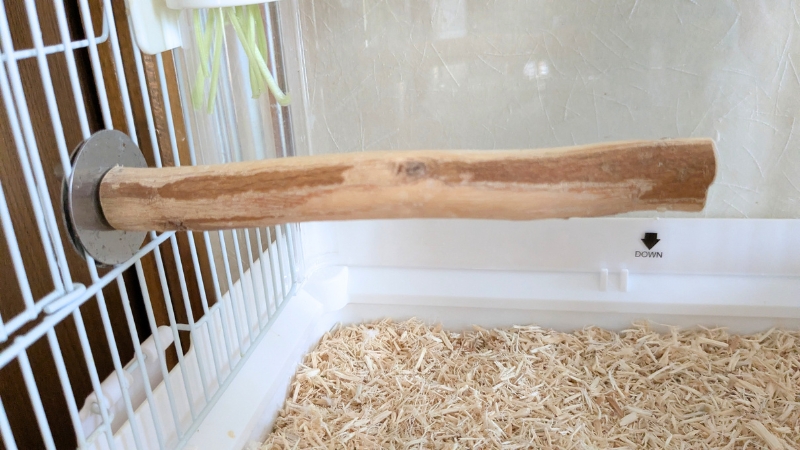 我が家で使っている天然木の止まり木